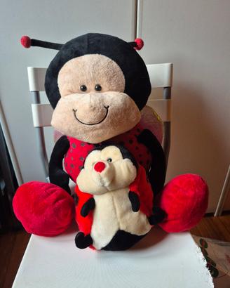 Coccinella gigante e figlia