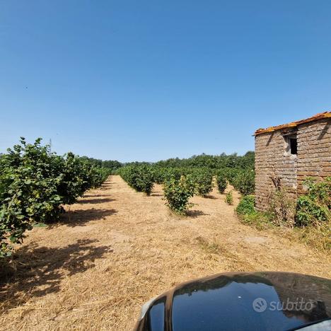 Terreno agricolo edificabile