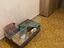 Immagine 2
