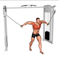 Scheda di Allenamento 