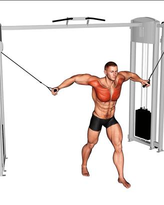 Scheda di Allenamento 