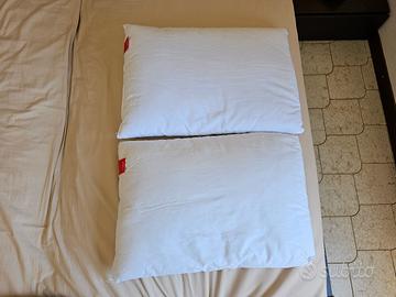 Coppia cuscini antisoffoco Gabel 60x40 cm (nuovi)