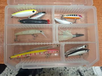 lotto light spinning