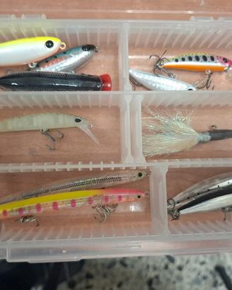 lotto light spinning