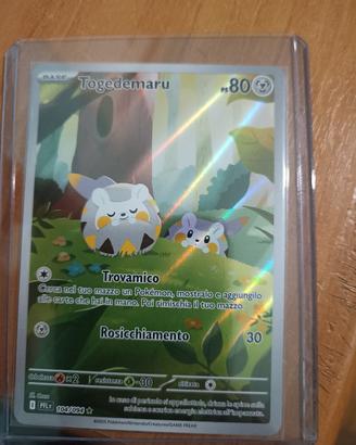 Pokémon Togedemaru illustrazione speciale 