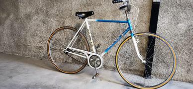 BICICLETTA UOMO REGINA