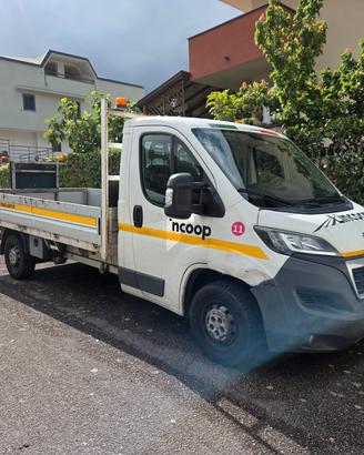 Peugeot Boxer 2.2 HDi/130CV Cassonato - 2016
