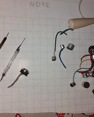 microfoni capsula e contatti reed