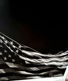 Robert Longo Untitled (Falling Flag), 2025