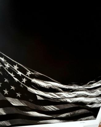 Robert Longo Untitled (Falling Flag), 2025