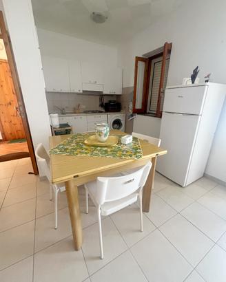 AGOSTO SETTIMANALE 4 posti Praia a Mare