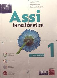 Assi in matematica  Geometria 1 media