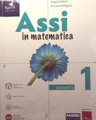 Assi in matematica  Geometria 1 media