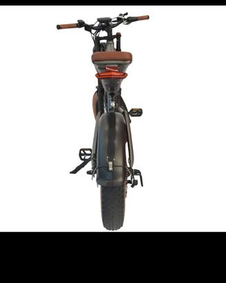 e-bike DYU M20 