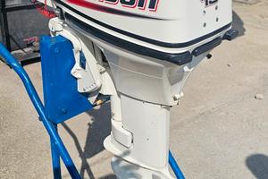 johnson 15hp 2 tempi