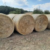 Rotoballe rotoli di foraggio fieno