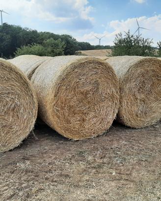 Rotoballe rotoli di foraggio fieno