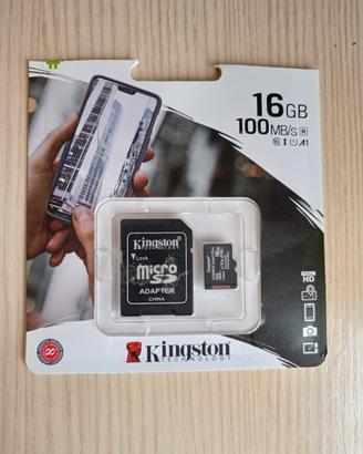 scheda di memoria sdhc canvas selected plus 16gb  