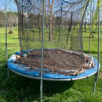 Salta salta tappeto elastico diametro 3.10