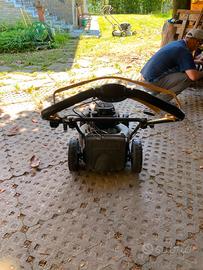 rasaerba motore