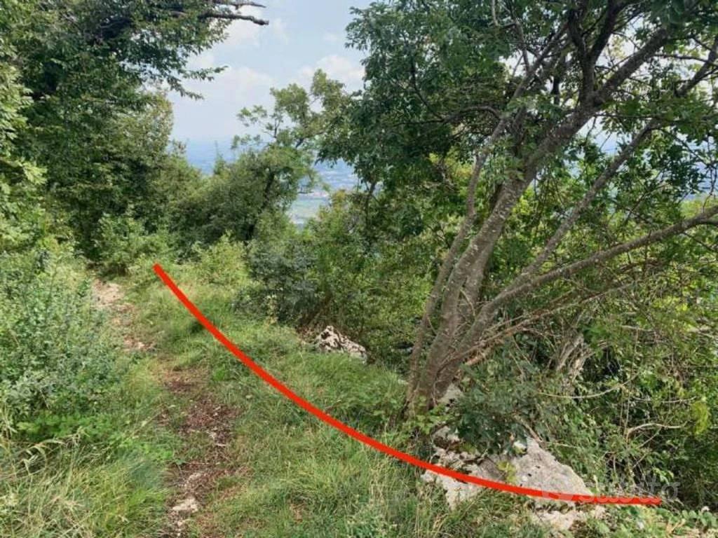 Immobile in asta di 141488 m² a Caltrano - Vista 5