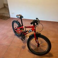 Bici montanbike