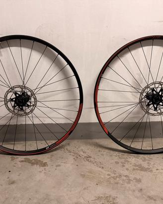 Coppia ruote 29” mtb DtSwiss