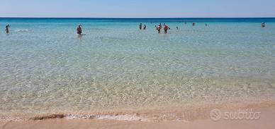 Vacanze ad 800m dal mare Marina di lizzano-pulsano