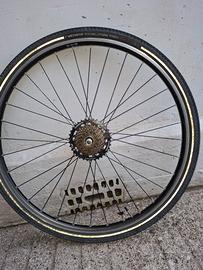 cerchio 28 shimano 7v