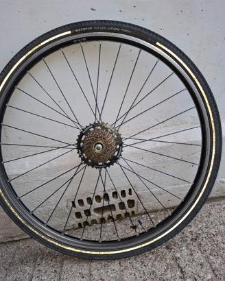 cerchio 28 shimano 7v