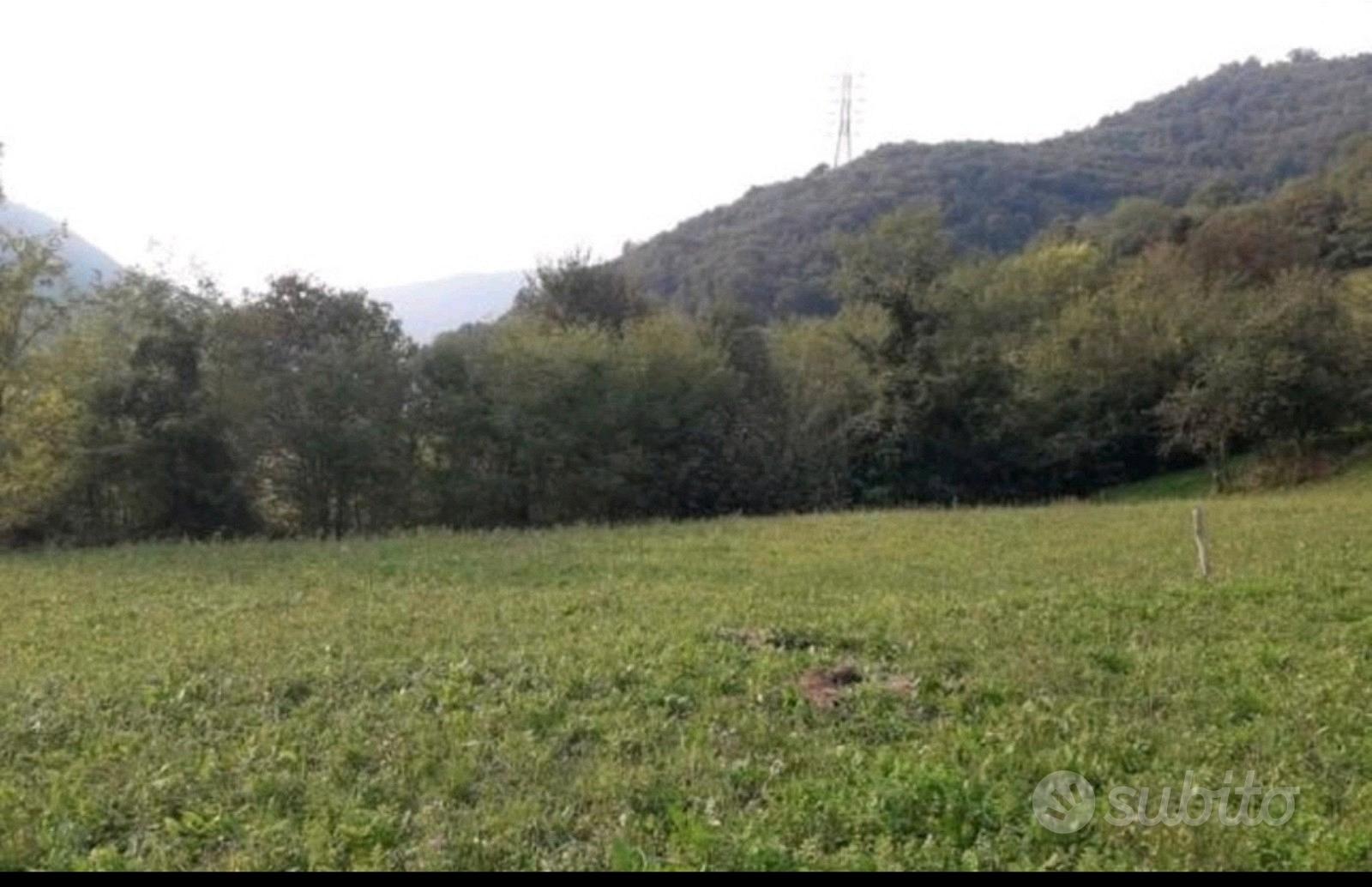 Terreno edificabile in comune di Luzzana - Vista 3