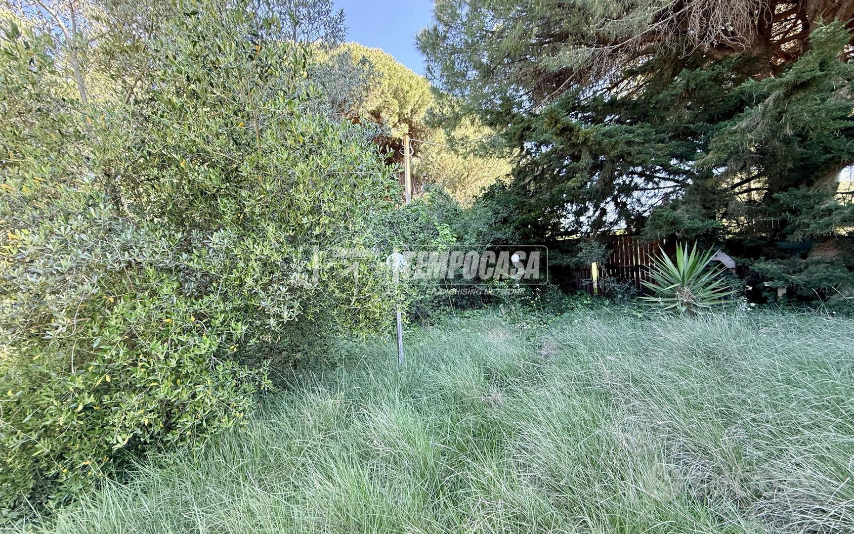 Terreno di 700 mq pianeggiante - Altro