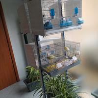 Carrello porta gabbie