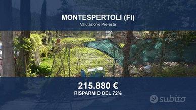 Immobile in asta di 7918 m² a Montespertoli
