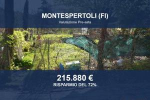 Immobile in asta di 7918 m² a Montespertoli