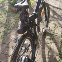 bicicletta elettrica  ripiegabile