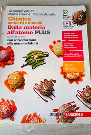 CHIMICA concetti e modelli ISBN 9788808344045