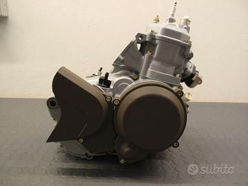 Motore Revisionato Rotax 123 Aprilia 125