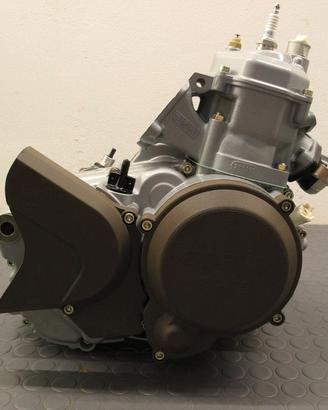 Motore Revisionato Rotax 123 Aprilia 125