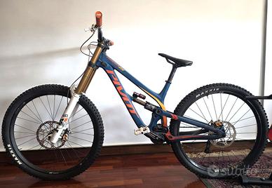 PIVOT  PHOENIX 29 e TRANSITION TR500