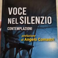 Libro Voce nel silenzio - Ligas 