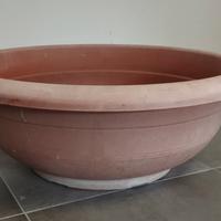 Ciotola x fiori o piante
