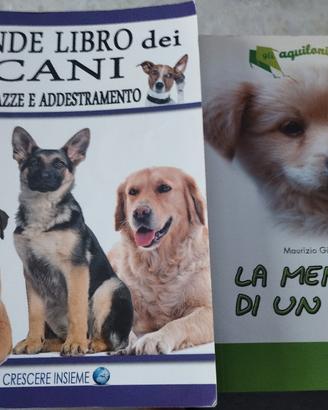 libri