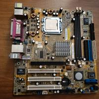 scheda madre Asus P5DS1-FM2/S