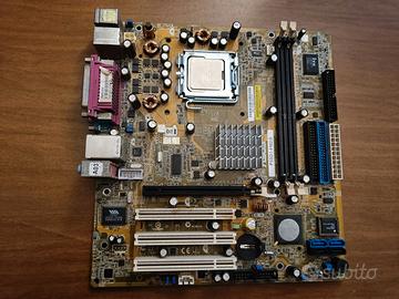 scheda madre Asus P5DS1-FM2/S