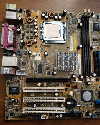 scheda madre Asus P5DS1-FM2/S