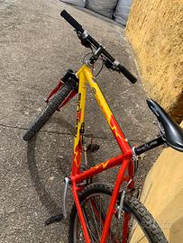MTB Sintesi 26