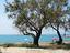 Immagine 26