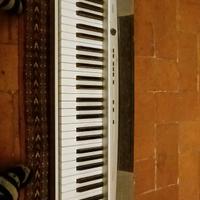 Casio Privia px-120 Pianola 