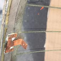 Lunotto posteriore Alfa Romeo Giulia Super